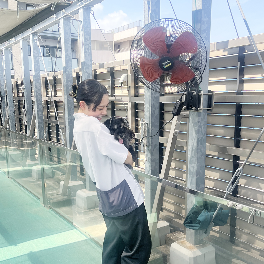 Wan活でお散歩♪